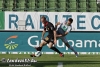 FTC-Honved_0-2_20120825_33